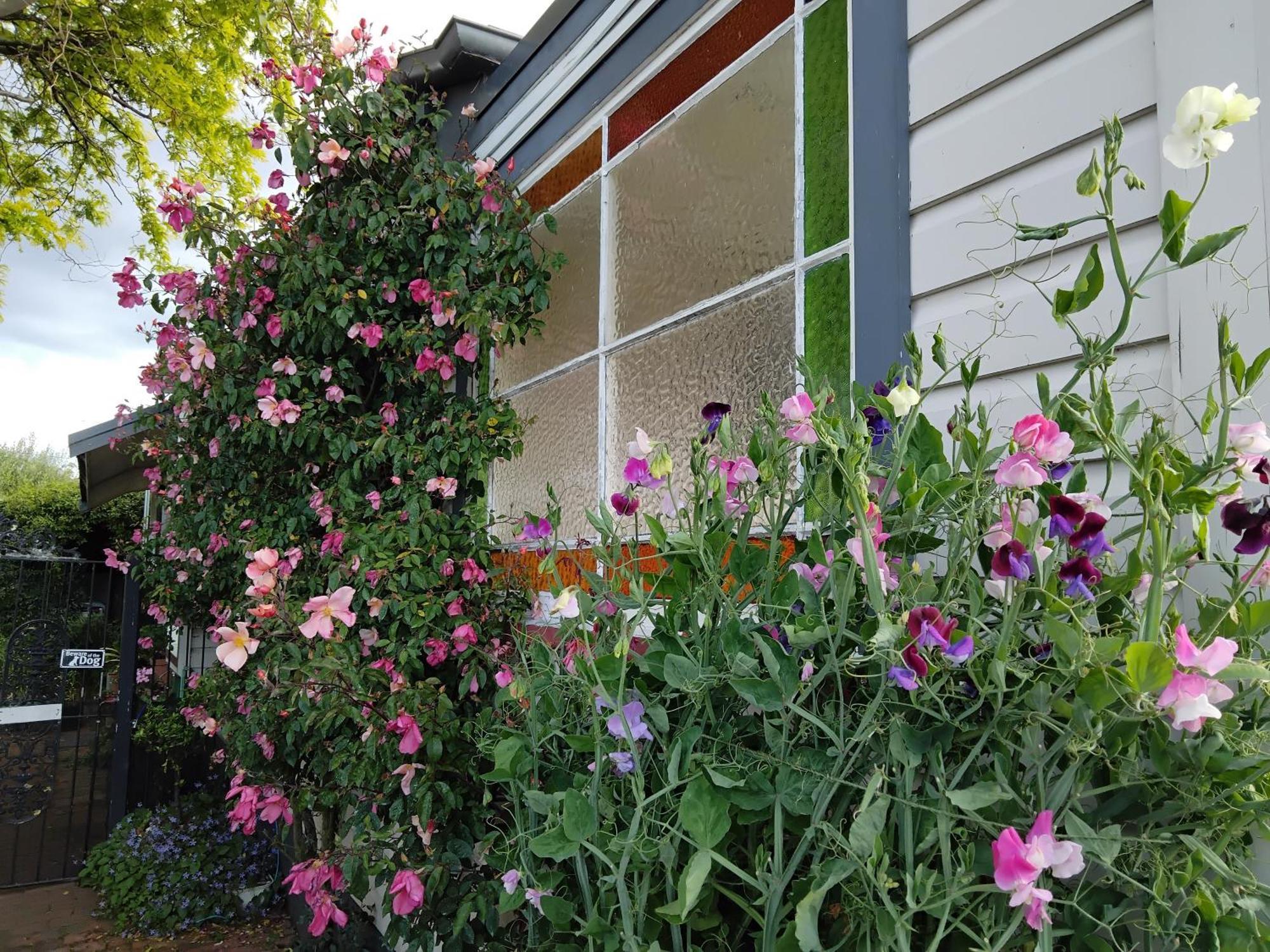 Guthrie Cottage Havelock North Extérieur photo